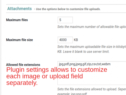 Plugin settings allows to customize each image or upload field separately.